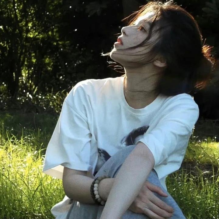 路德探长：落日之殇