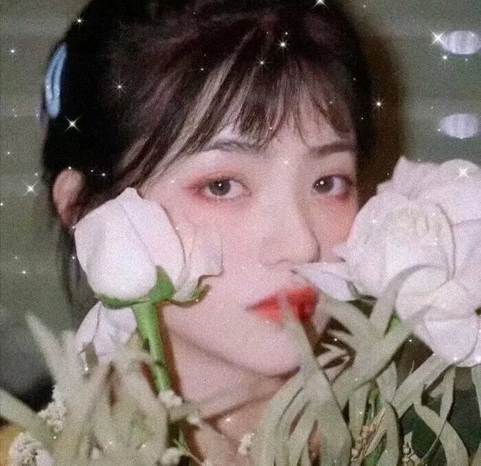 雅莉丝的照片